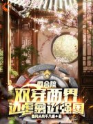 《四合院：双穿两界，边虐禽边强国》小说精彩章节免费试读（主角叶凡傻柱）