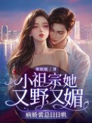 盛南音付宴安小说全文精彩章节在线阅读（小祖宗她又野又媚，病娇裴总日日哄
