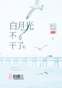 时安青宋槐主角白月光不干了全文精彩内容在线试读