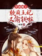 【爆款新书】敬文莫严 穿越嫡女：软萌王妃又偷钱啦！小说全文章节免费试读