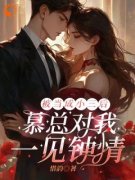 沈清晚慕凌翊全章节免费在线阅读 被当成小三后，慕总对我一见钟情完结版