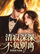 《清寂深深不负别离》小说章节精