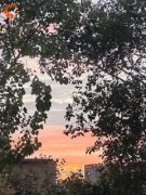 唐小小刘盼娣免费阅读 胎穿之五零