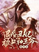 热文《退婚丑妃被战神王爷抢回家