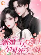 《姜晚谢清然》小说全文免费阅读