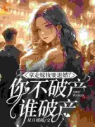 许南熙陆湛北《拿走嫁妆就退婚，