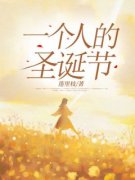《一个人的圣诞节》小说章节列表
