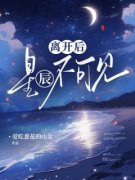 《离开后，星辰不可见》大结局精彩阅读 《离开后，星辰不可见》最新章节目