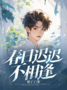 《春日迟迟不相逢》小说章节目录