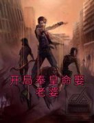 《开局奉皇命娶老婆》小说全文在线试读 李文李澈小说阅读