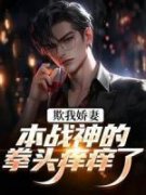 欺我娇妻？本战神的拳头痒痒了小说全文免费阅读 叶凡林听雪章节目录精彩章