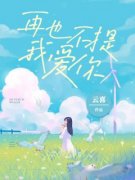 再也不提我爱你苏惜苒卓兴尧小说