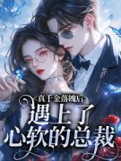 《安琪夏亦梵》小说全文精彩阅读