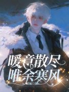 主角是暖意散尽，唯余寒风的小说