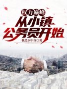 杨风徐有容权力巅峰：从小镇公务员开始全部章节目录
