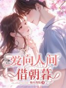 《沈晚季屿》小说章节目录免费阅读 爱向人间借朝暮小说阅读