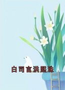 白司言洪熙珠洪熙珠白司言小说全