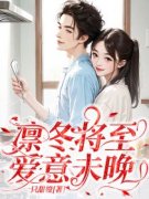 凛冬将至，爱意未晚全本资源 宋承