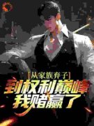 《从家族弃子到权利巅峰，我赌赢了》小说章节列表精彩阅读 李南征曹逸凡小