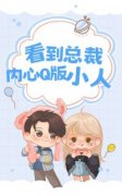 看到总裁内心Q版小人后书名叫什么