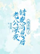 《沈示白沈念安》大结局在线阅读