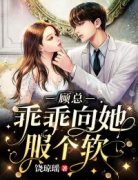 【爆款新书】顾总，乖乖向她服个软 时依顾景墨小说全文章节免费试读