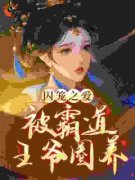《摄政王妃夜夜对他耍流氓》小说