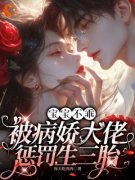 《宝宝不乖，被病娇大佬惩罚生三