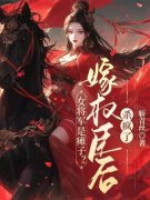 黎昭裴岑之小说 《女将军是瘫子？嫁权臣后杀疯了》小说全文免费阅读