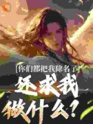 《林澈程萱》小说章节列表精彩试读 家族赶我走后，才发现我冠绝天下小说阅