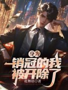 《身为销冠的我，被开除了》林风