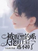 《苏南顾辞宴》小说章节免费试读