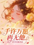 《许斯愿沈铭洲》小说章节目录在线阅读 千许万愿再无他小说阅读