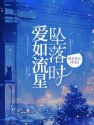 爱如流星坠落时全本资源 曲舒然陆