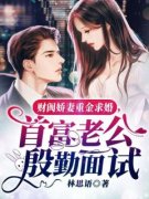 《苏姚司城》财阀娇妻重金求婚，