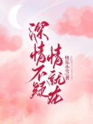 《许珊珊季天泽》小说章节免费阅读 深情不疑，情就在小说全文