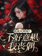 《叶蓁蓁陆璟安》追妻火葬场？不