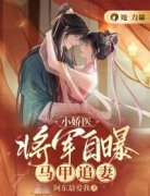 《小娇医：将军自曝马甲追妻》照夕湖霍无殇章节目录免费阅读