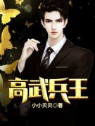 陈风林雨诺小说全文精彩章节在线阅读（高武兵王）
