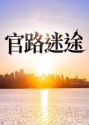 《官路迷途》小说免费阅读 许国华
