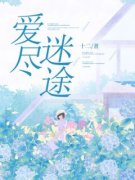 主角是宋黎陆泽渊的小说 《爱尽迷