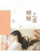 柳依依严己渊全文免费试读 糟糠之