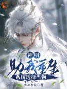 《云逸虚影》小说章节目录在线阅