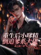 重生后小嗲精倒追爹系大佬全文免