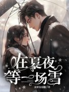 《在夏夜等一场雪》小说章节目录