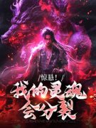 美文阅读《李夏舒秋巧》惊悬！我的灵魂会分裂全文精彩章节列表试读