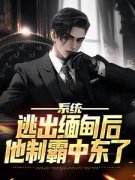 《系统：逃出缅甸后，他制霸中东