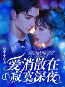 爱消散在寂寞深夜全本资源下载APP 沈浩然慕南嫣完整未删减版