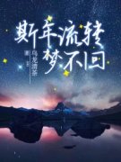 《斯年流转梦不回》小说全文精彩