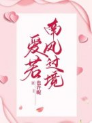 爱若南风过境小说完整版在线阅读